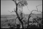 Landscape.1.jpg