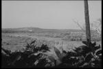 Landscape.jpg