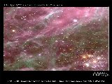  Tarantula_Nebula.